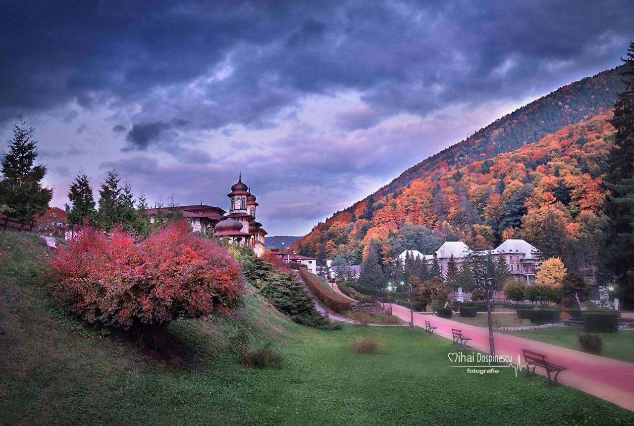 Apartament Diandru Slănic-Moldova Exteriér fotografie